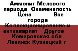 Аммонит Мелового периода. Окаменелость. › Цена ­ 2 800 - Все города Коллекционирование и антиквариат » Другое   . Кемеровская обл.,Ленинск-Кузнецкий г.